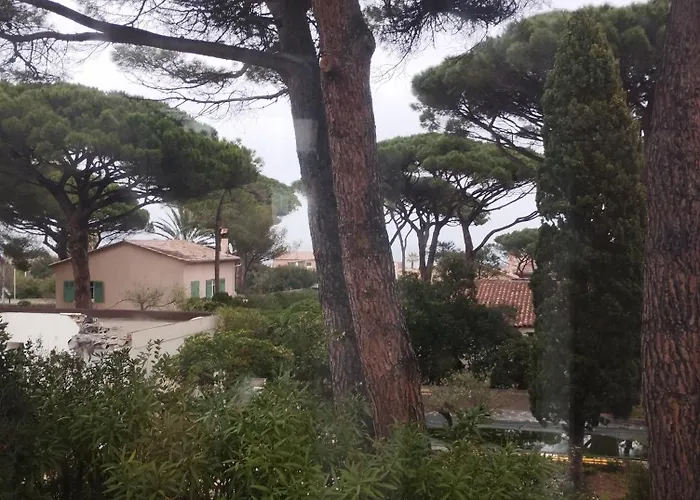 Apartament Nartelle 26